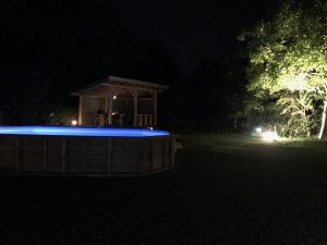IMG_7446