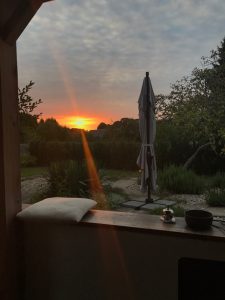 IMG_7654 (1)