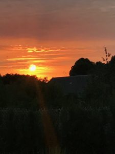 IMG_7656